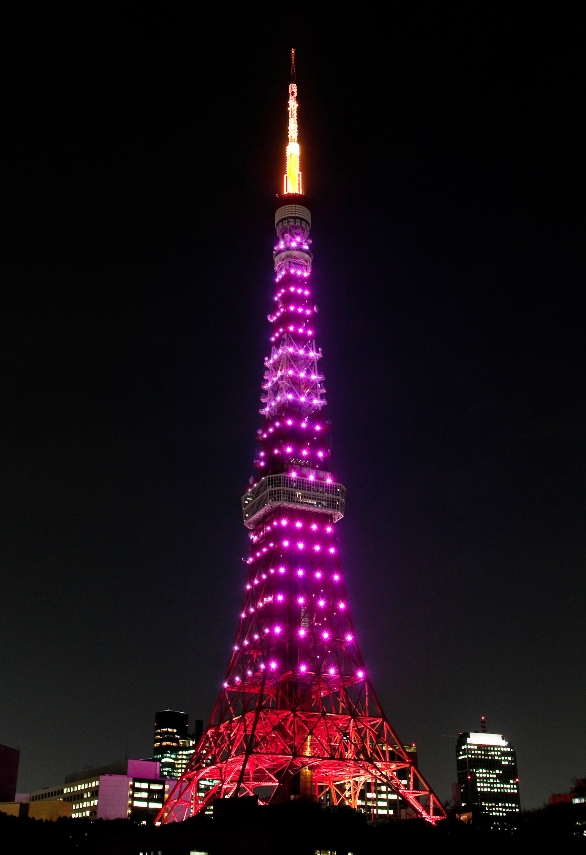 まさに「愛のステップアップ！」バレンタインの夜は夜景を見ながら東京タワーを階段で昇ろう！「ジャイアントカプリコ」や「ポッキー」の無料配布も行います！ | 東京タワー TokyoTower オフィシャルホームページ