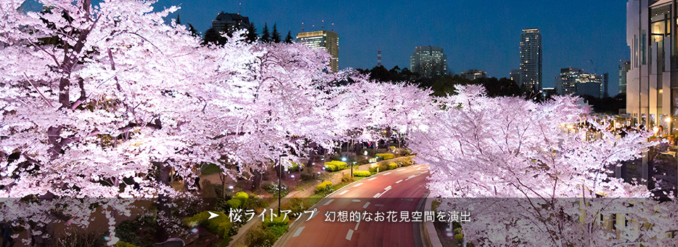 Midtown Blossom 2015｜東京ミッドタウン