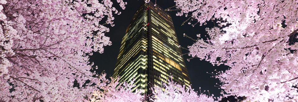 桜ライトアップ | Midtown Blossom 2016 | 東京ミッドタウン